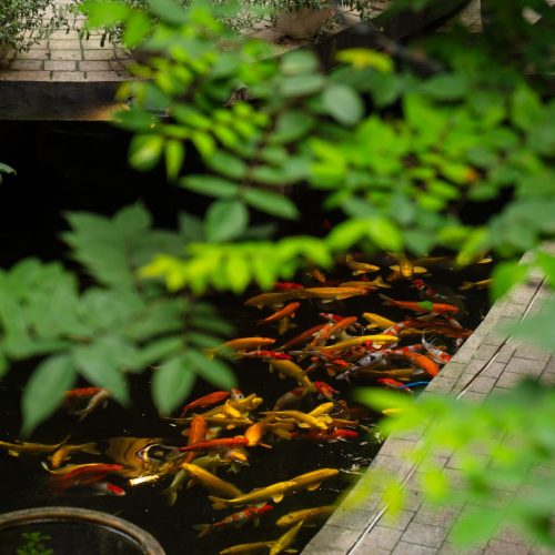 Dòng chảy Văn hóa Việt Nam: Tìm về nét đẹp kiến trúc Lý – Trần giữa lòng phố thị