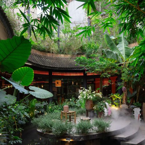 Kỷ Niệm Xanh Gửi Lại Phụng Thành Nơi Thiên Nhiên Chữa Lành Mọi Giác Quan