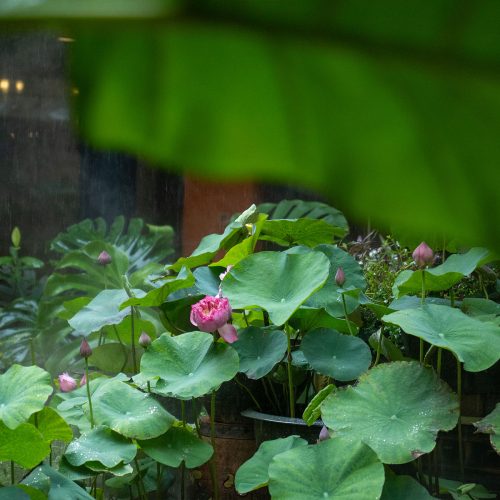 Top món ăn nhà hàng Phụng Thành được lòng giới sành ăn